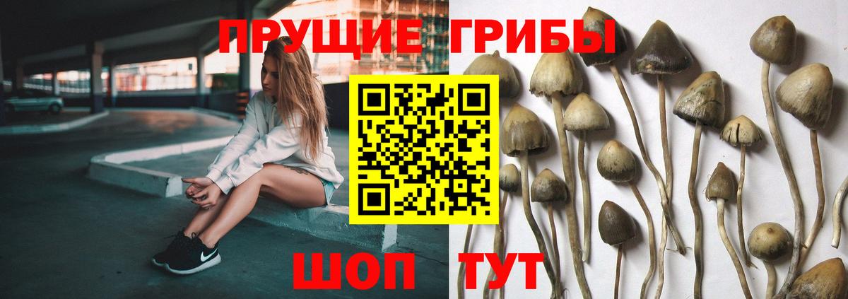 Псилоцибиновые грибы Magic Shrooms  Галлюциногенные грибы MAGIC MUSHROOMS  Вход с VPN  Назарово 